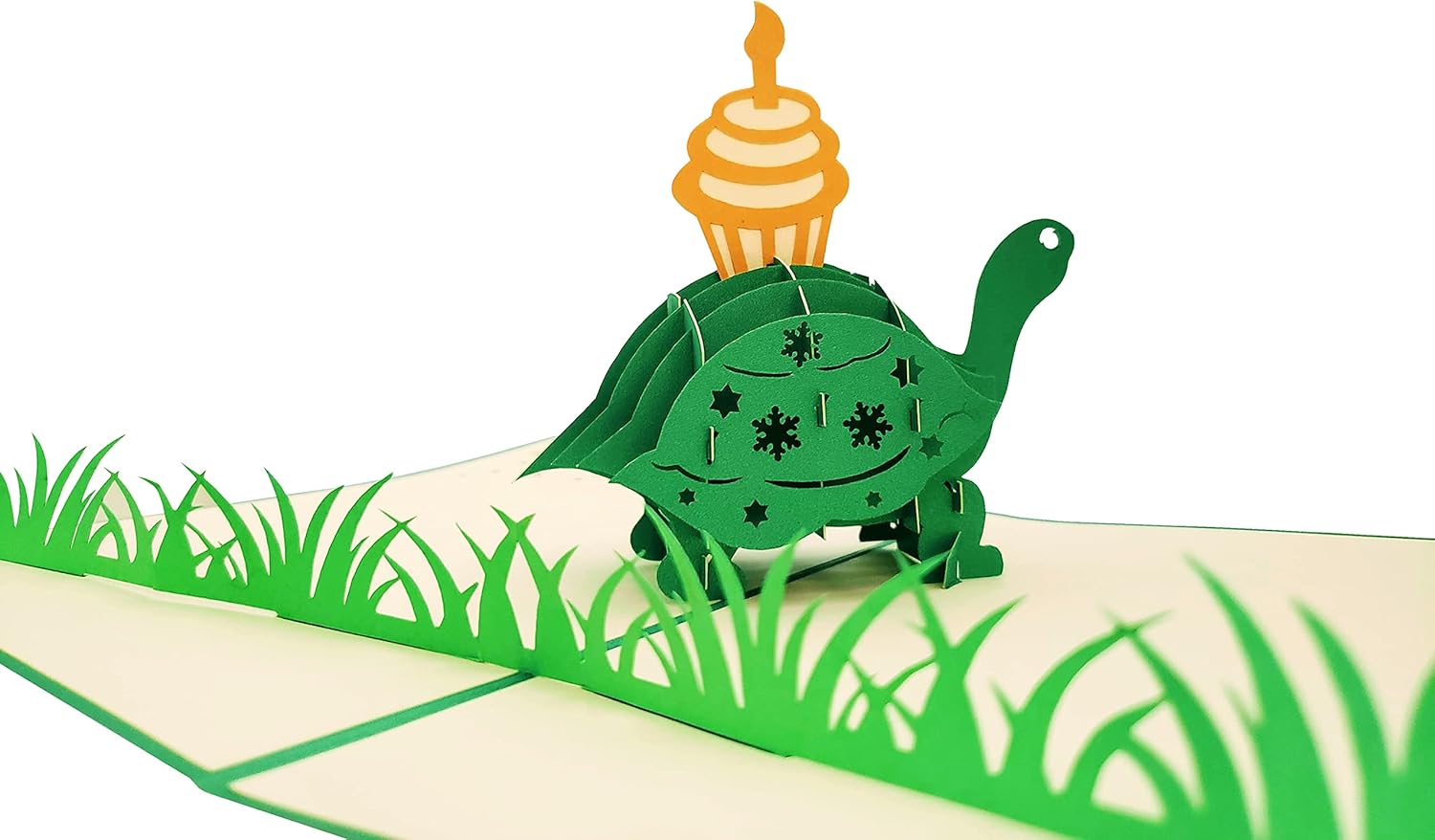 Funny Birthday Turtle 3D Pop Up Card - Belated Celebration Gift