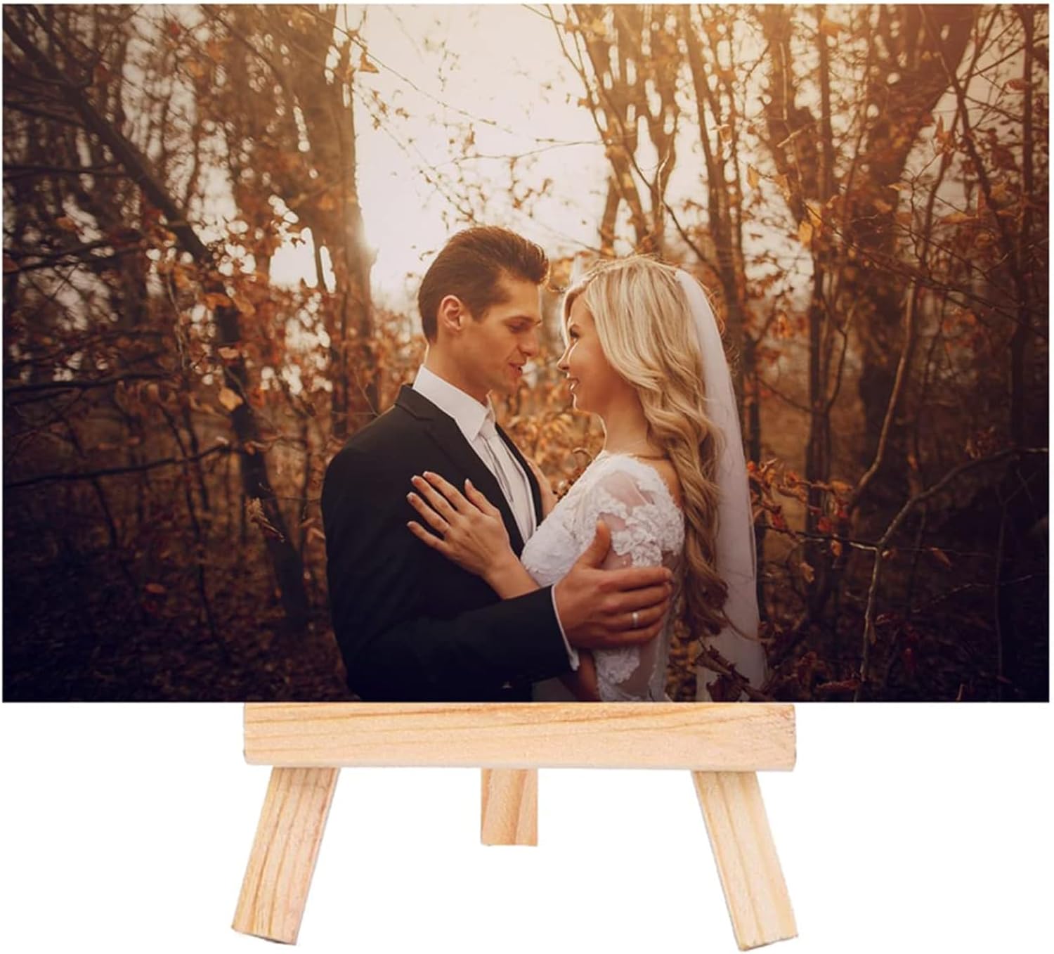 EBOOT 12 Pack Mini Wood Display Easel 5 Inch