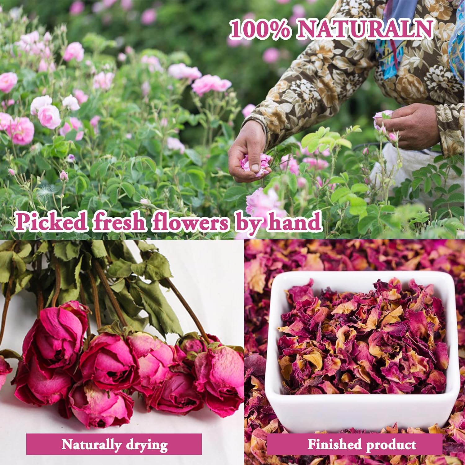 SACATR Dried Flowers 50 Bag Natural Herb Kit for Crafts