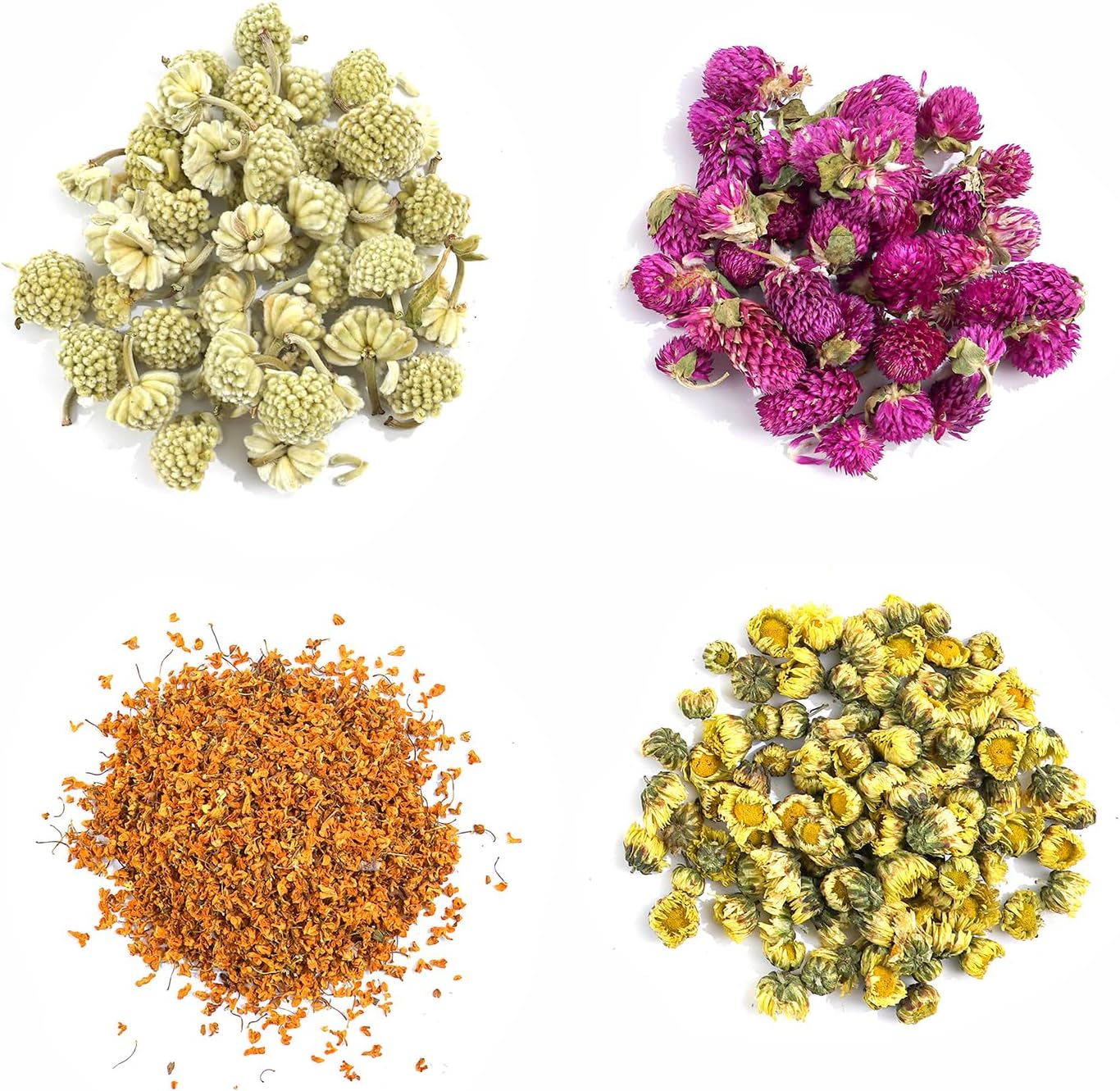 Natural Dried Fruit and Flower Kit for DIY Crafts