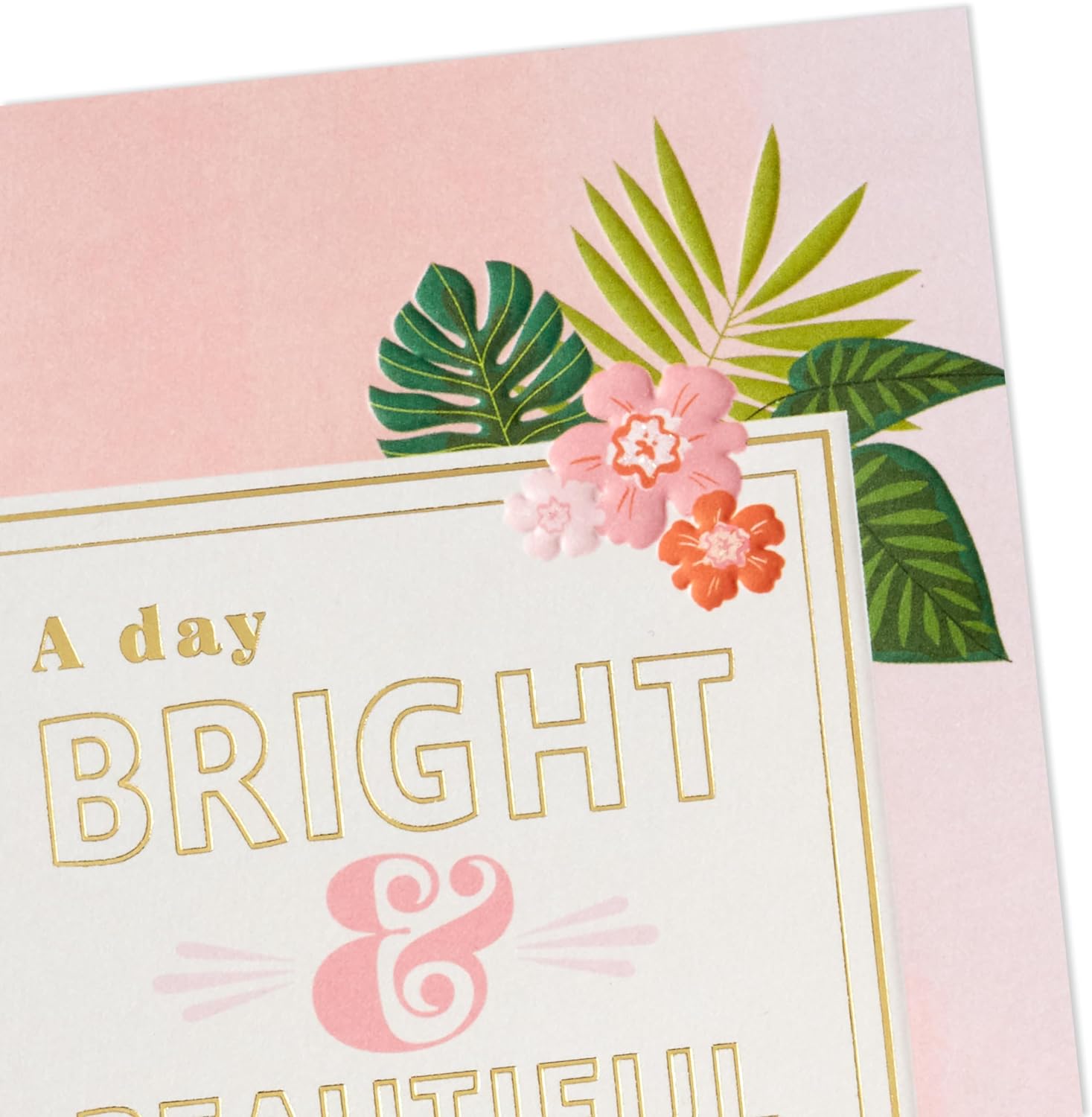 Hallmark Elegant All Occasion Card Assortment 12 Cards with Envelopes