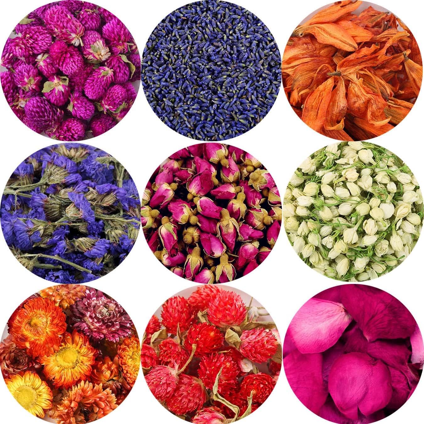 9 Bags Set of Natural Dried Flowers for Crafts