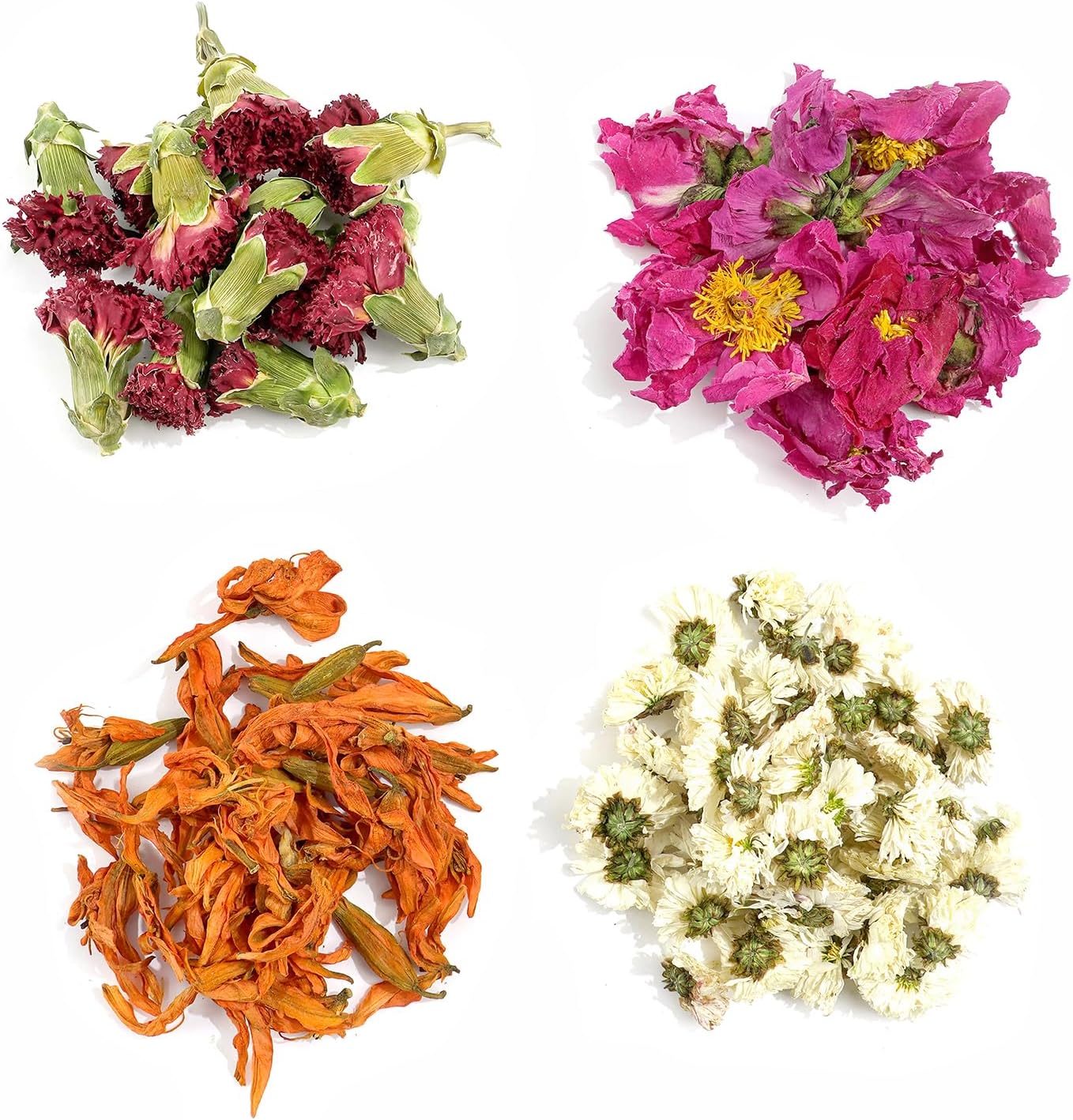 Natural Dried Fruit and Flower Kit for DIY Crafts