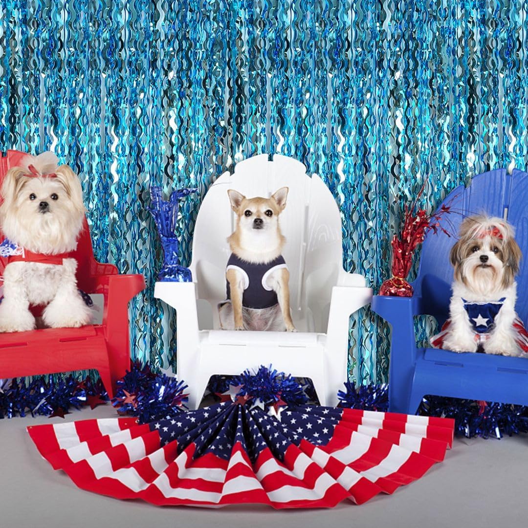 Blue Foil Fringe Curtain Party Backdrop