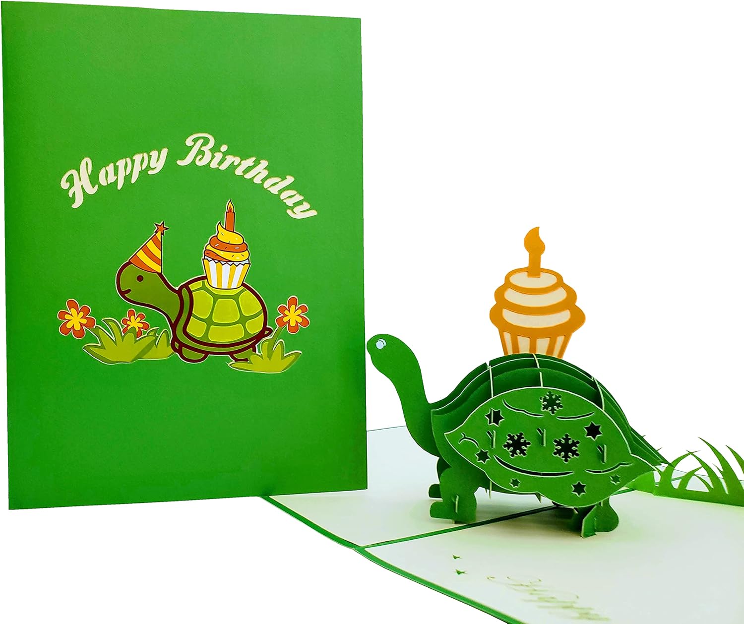 Funny Birthday Turtle 3D Pop Up Card - Belated Celebration Gift